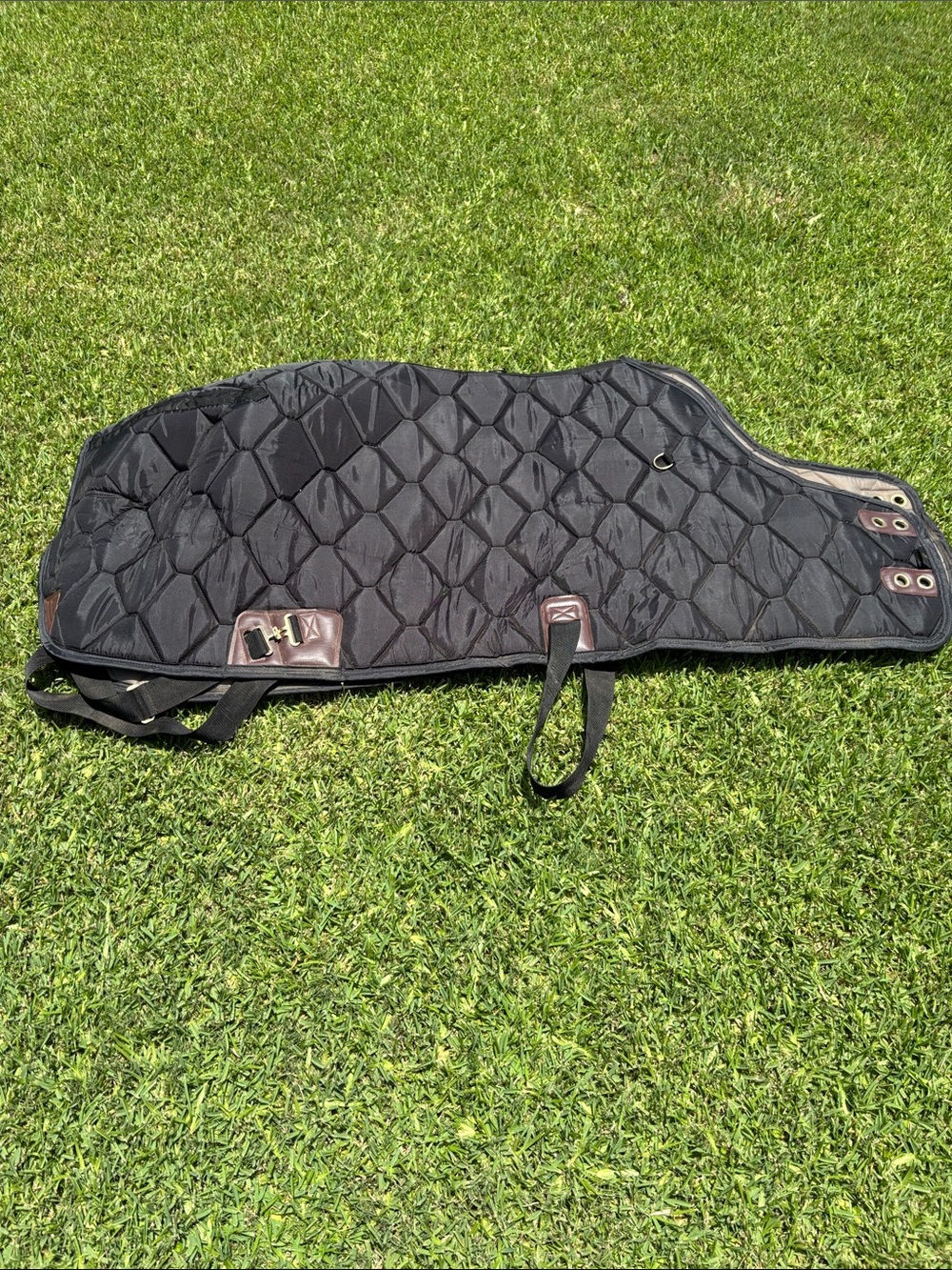Black Quilted Horse show winter blanket